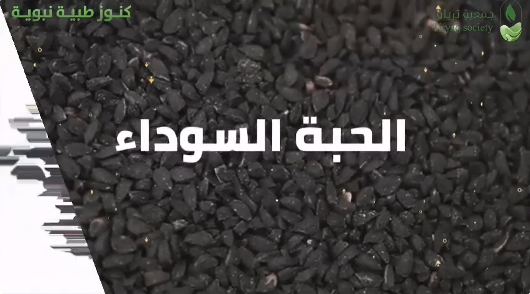 الحبة السوداء
