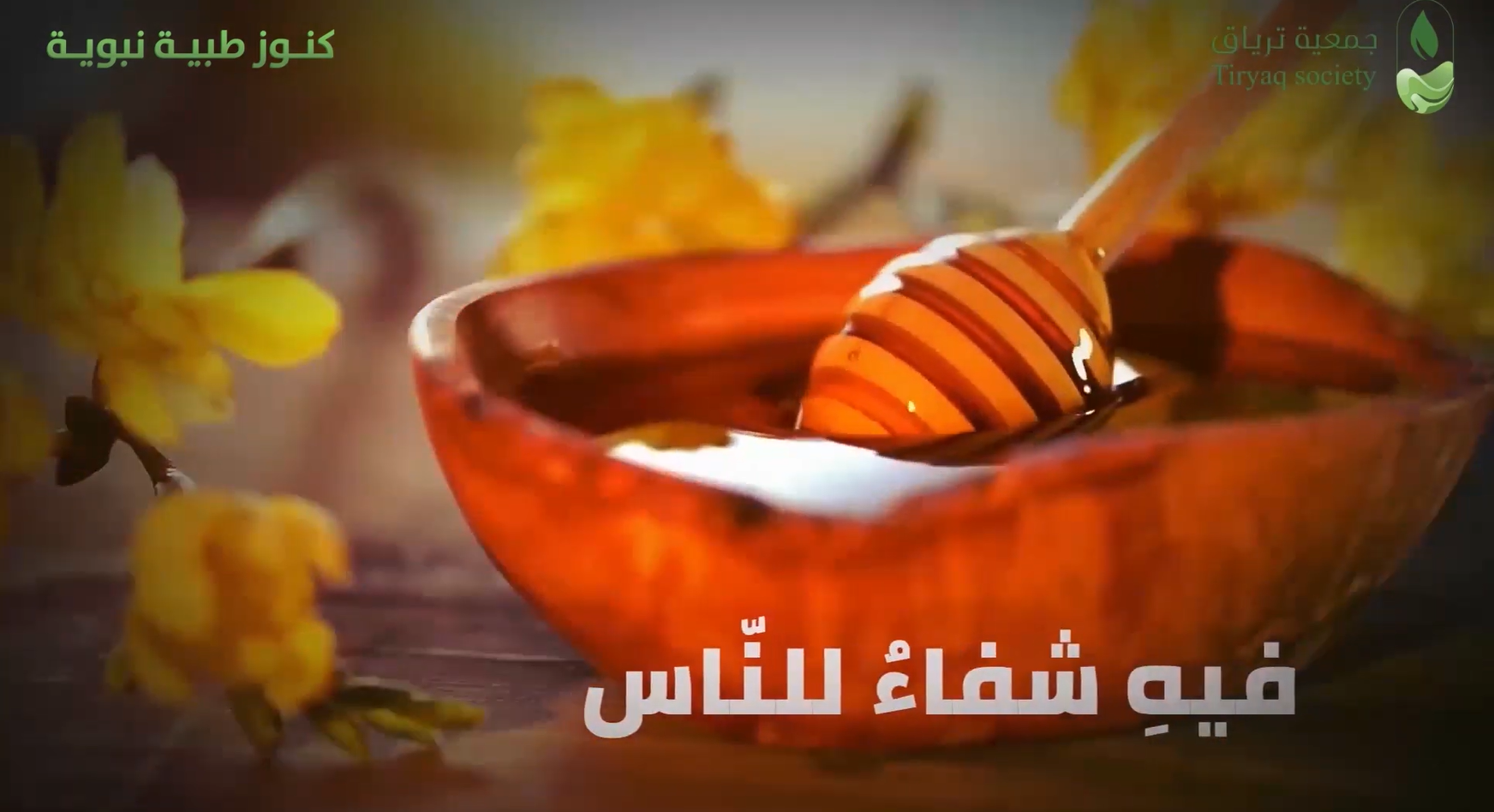 فوائد العسل في الطب النبوي | علاج طبيعي مذكور في القرآن والسنة